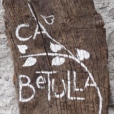 Villa Ca Betulla Novate Mezzola Exterior foto