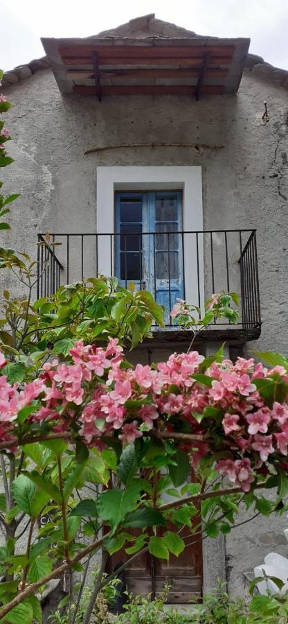 Villa Ca Betulla Novate Mezzola Exterior foto