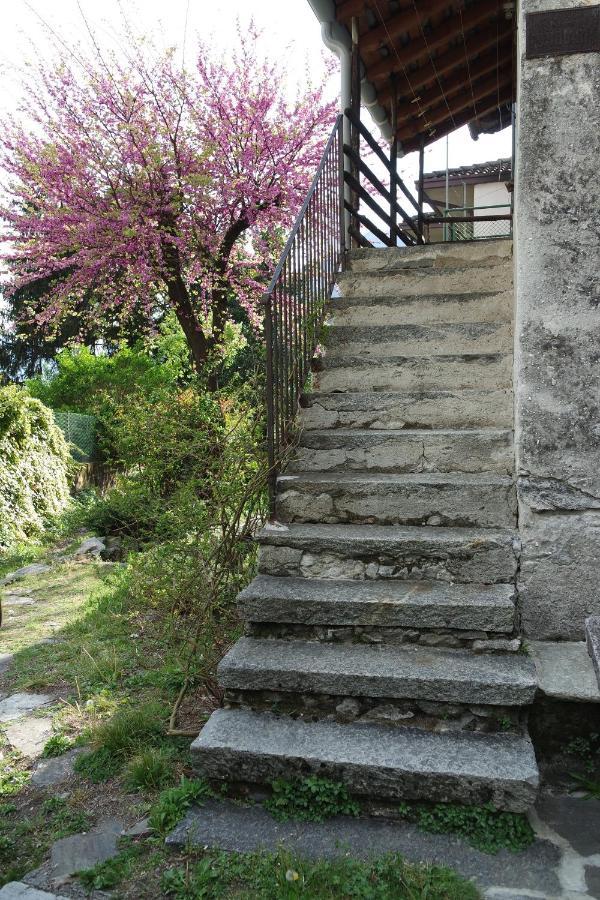 Villa Ca Betulla Novate Mezzola Exterior foto