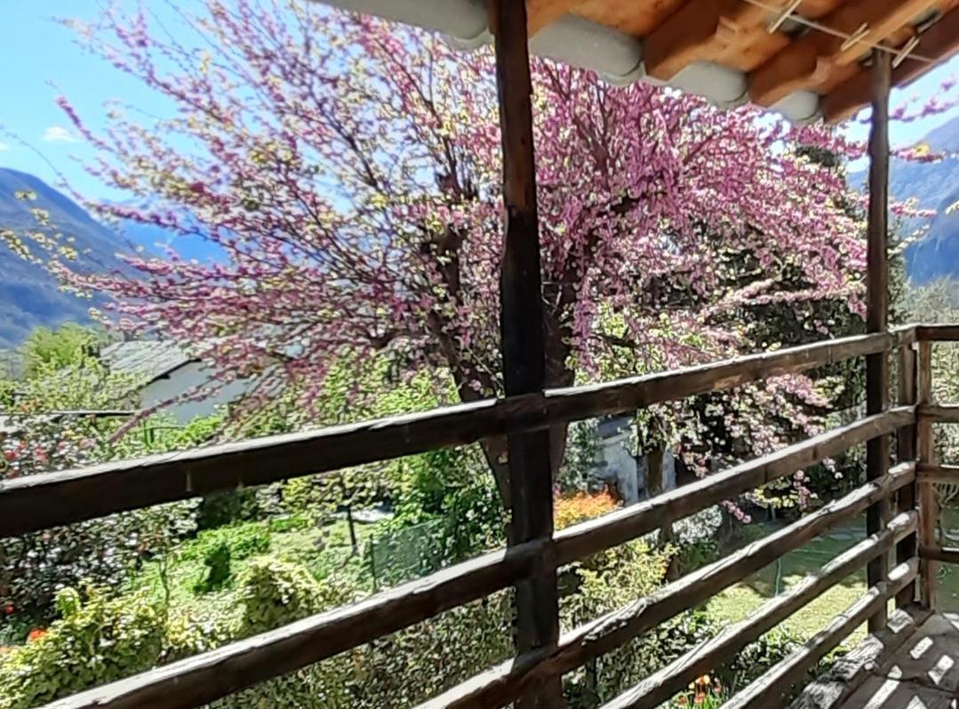 Villa Ca Betulla Novate Mezzola Exterior foto