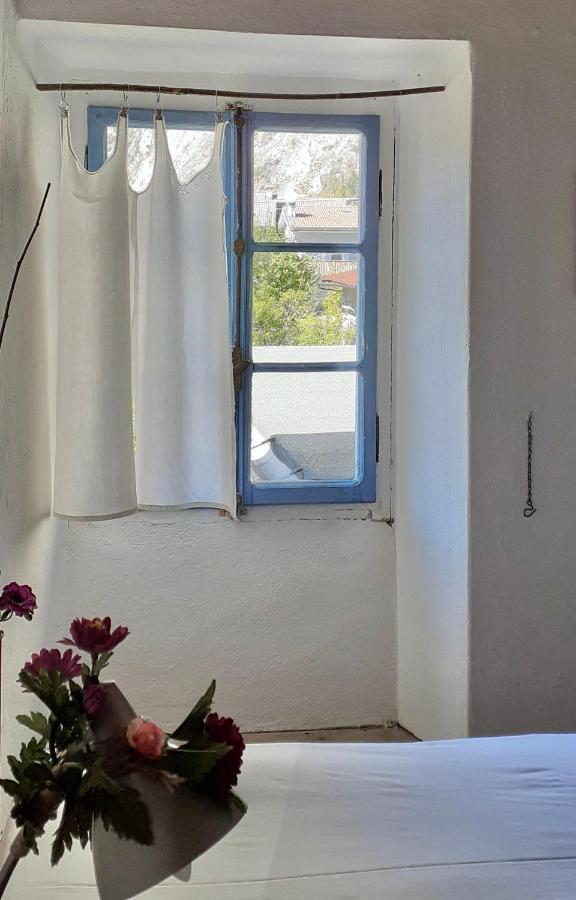 Villa Ca Betulla Novate Mezzola Exterior foto